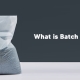 What is Batch Inclusion bags?