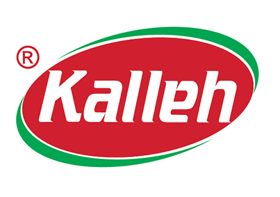 logo-en (2)