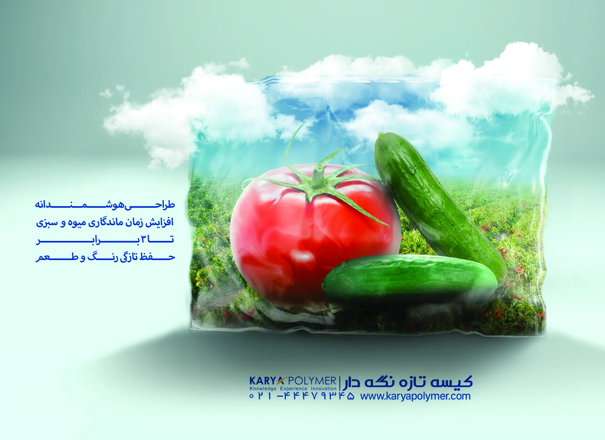 کیسه تازه نگهدارنده