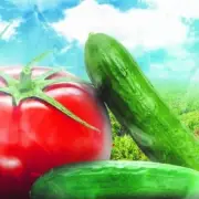 Keep it fresh کیسه تازه نگهدارنده