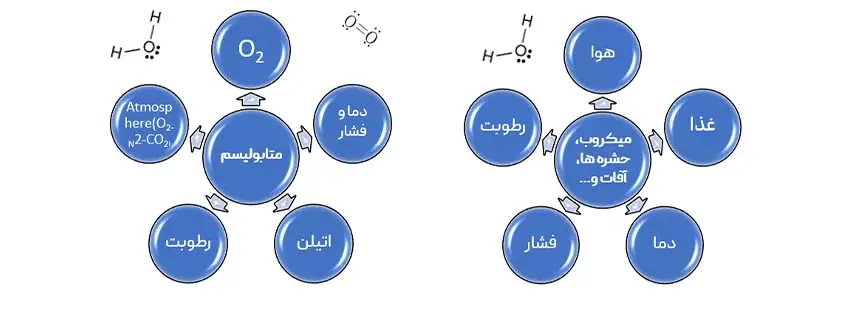 روش های کنترل اتمسفر روش های کنترل اتمسفر