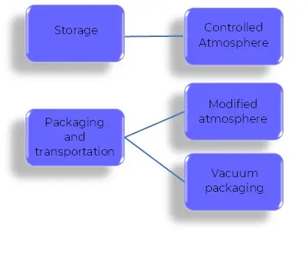 An overview of the new approach in the packaging industry